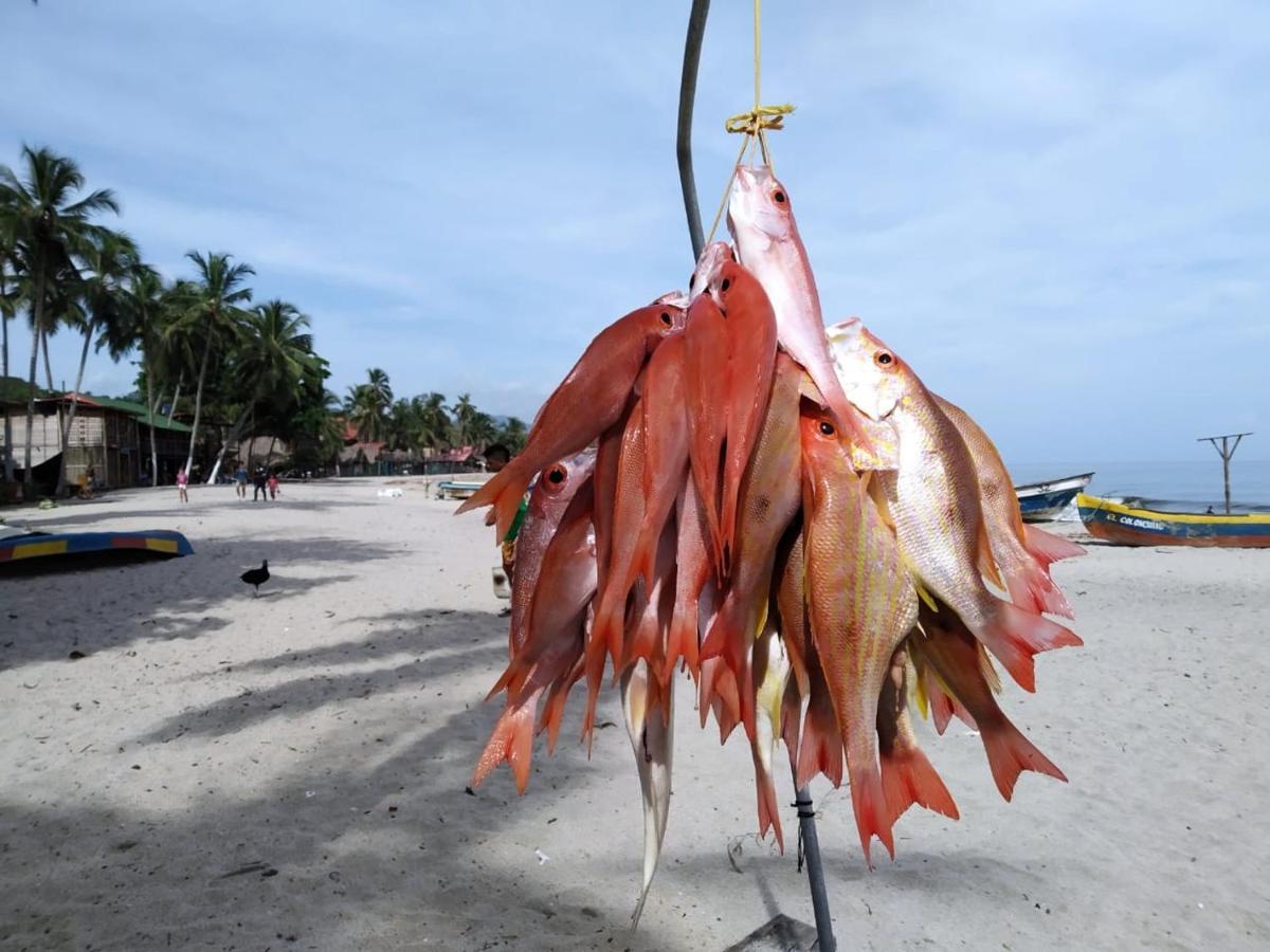 Hostal Velero Relax Guachaca エクステリア 写真