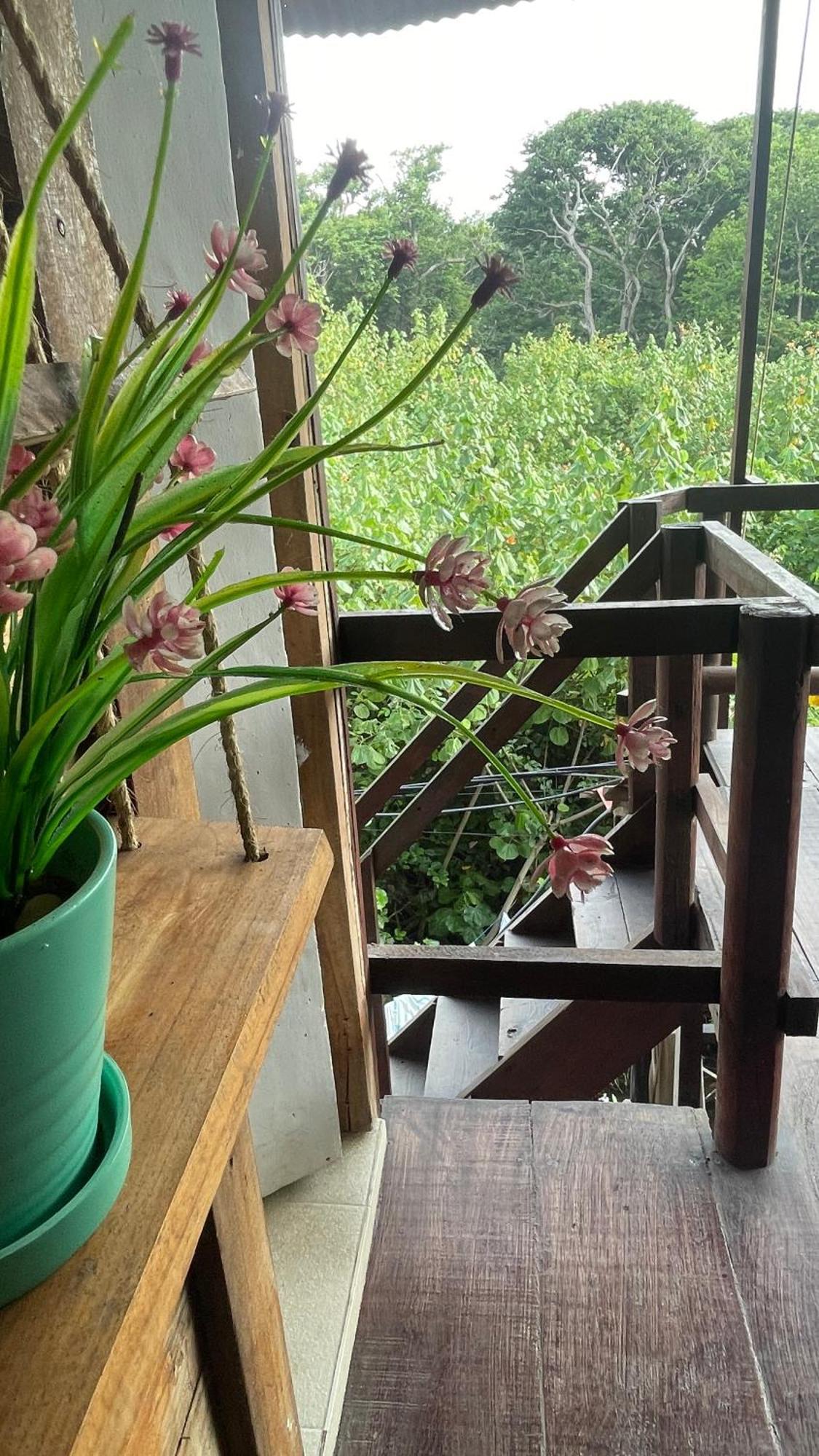 Hostal Velero Relax Guachaca エクステリア 写真